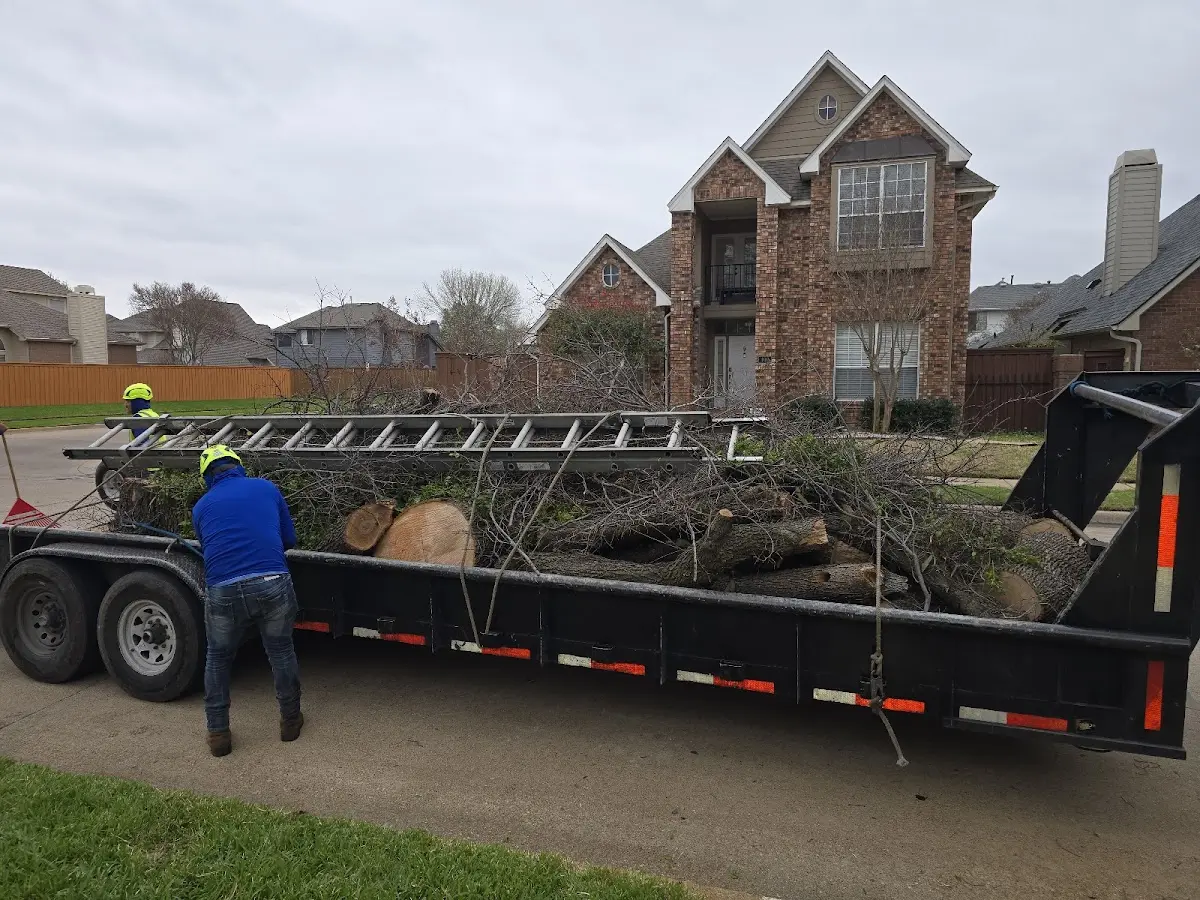 Expert Lot Clearing with proper safety equipment in Highwood